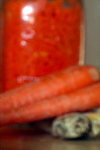 Lacto-carrots